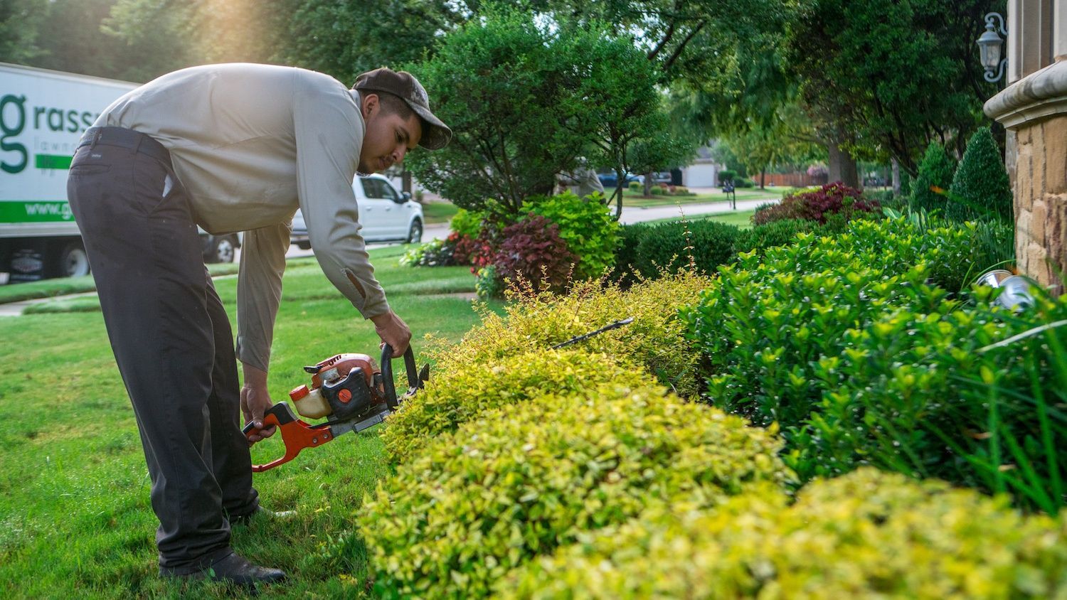 Natural shrub trimming and shaping in Murrieta.