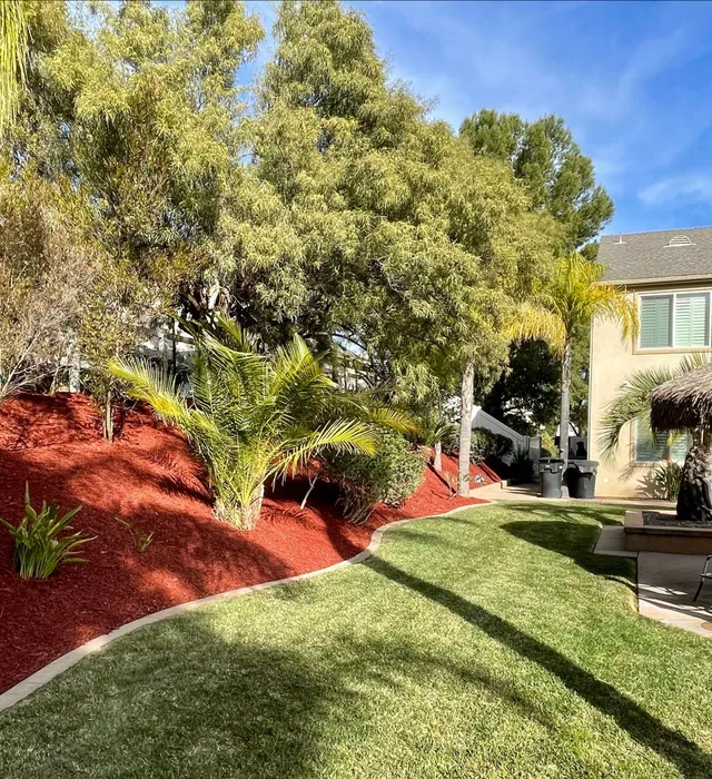 Clean, well-maintained front yard in Temecula with natural landscape care.