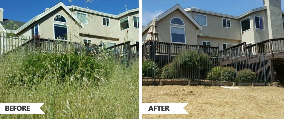 Before and after one time yard cleanup Temecula residential property